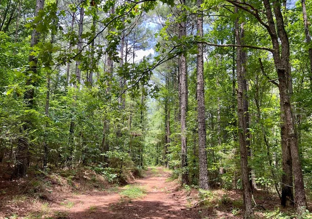 Photo 1 of Land for sale at 60 Trout Creek Rd, Watson, OK 74963 | MLS# 1180440 | Listing updated on 2026-09-21