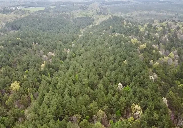 Photo 2 of Land for sale at 60 Trout Creek Rd, Watson, OK 74963 | MLS# 1180440 | Listing updated on 2026-09-21