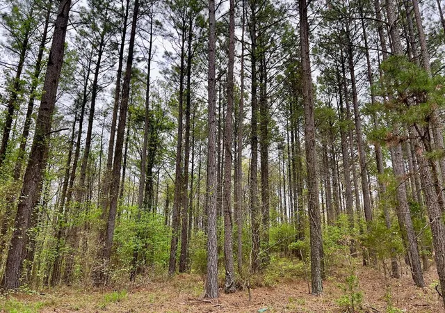 Photo 3 of Land for sale at 60 Trout Creek Rd, Watson, OK 74963 | MLS# 1180440 | Listing updated on 2026-09-21