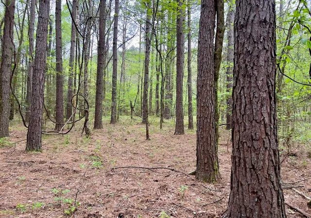Photo 4 of Land for sale at 60 Trout Creek Rd, Watson, OK 74963 | MLS# 1180440 | Listing updated on 2026-09-21