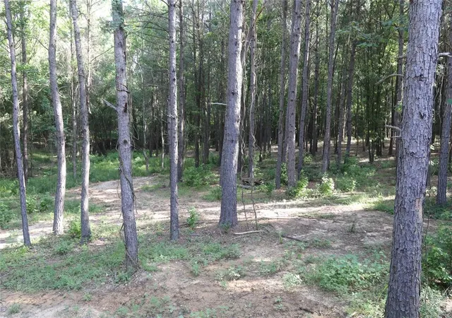 Photo 4 of Single family home for sale at 121 Ironwood Ln, Broken Bow, OK 74728 | MLS# 1181769 | Listing updated on 2025-09-21