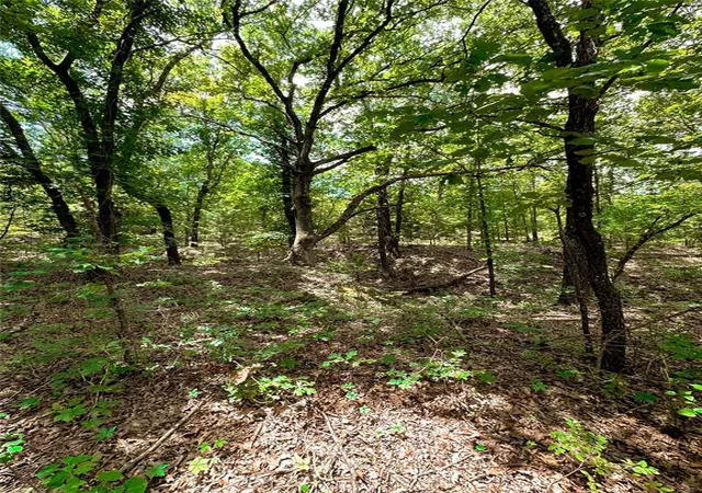 29th image of 0000 Sw Rattlesnake Hill Rd, Tecumseh, OK 74873 | MLS# 1184126
