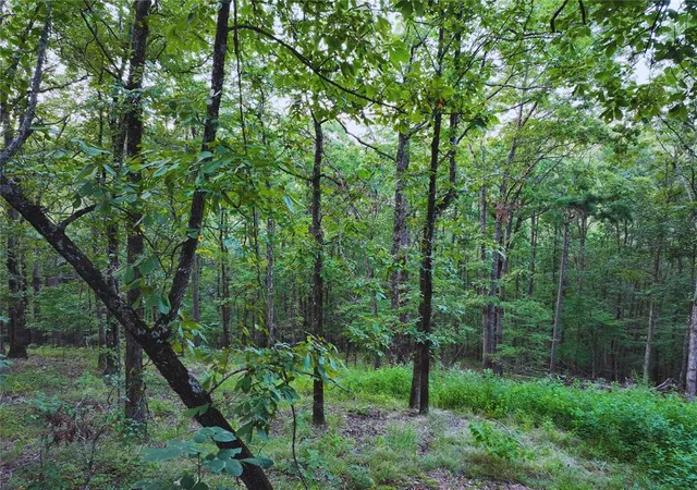 24th image of 214 Western Spruce Trl, Broken Bow, OK 74728 | MLS# 1184559