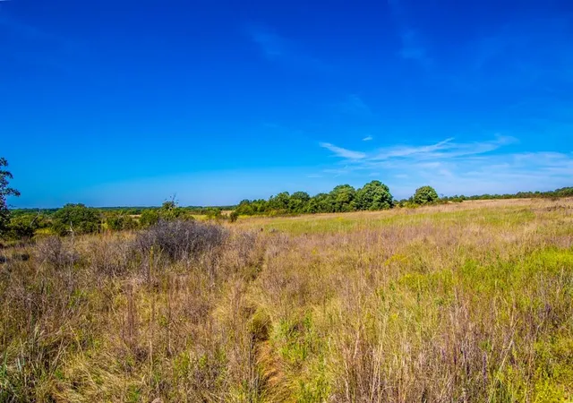 4th image of E 1730 Rd, Tussy, OK 73533 | MLS# 1189258