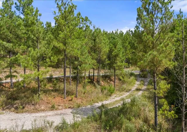Photo 22 of Land for sale at 258 Boulder Crk, Broken Bow, OK 74728 | MLS# 1189349 | Listing updated on 2025-09-24