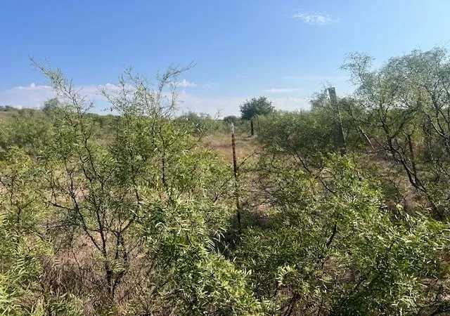 Photo 11 of Land for sale at 1480 E County Rds, Mangum, OK 73554 | MLS# 1192114 | Listing updated on 2025-12-12