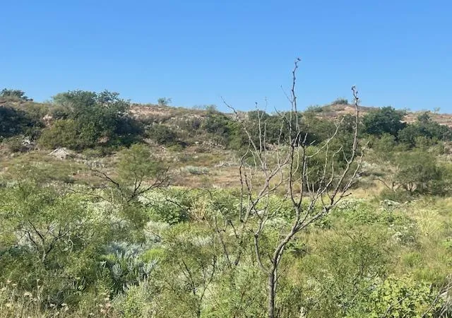 Photo 3 of Land for sale at 1480 E County Rds, Mangum, OK 73554 | MLS# 1192114 | Listing updated on 2025-12-12