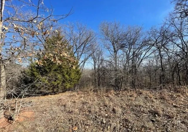 Photo 3 of Land for sale at 226 Jesse St, Newalla, OK 74857 | MLS# 1192335 | Listing updated on 2026-08-14