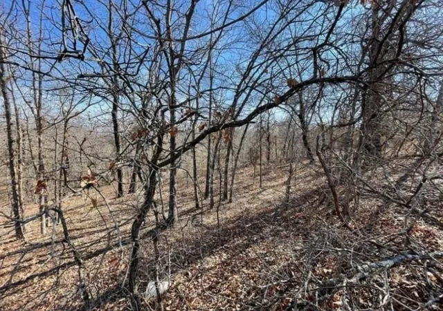 Photo 4 of Land for sale at 226 Jesse St, Newalla, OK 74857 | MLS# 1192335 | Listing updated on 2026-08-14