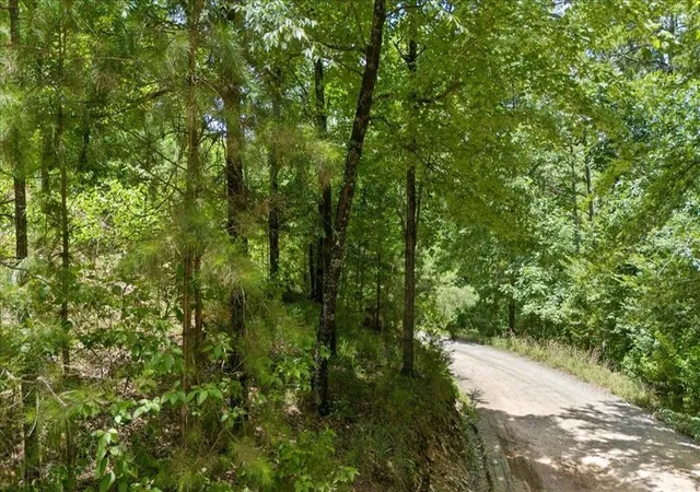 4th image of 546 Split Creek Ln, Broken Bow, OK 74728 | MLS# 1192775