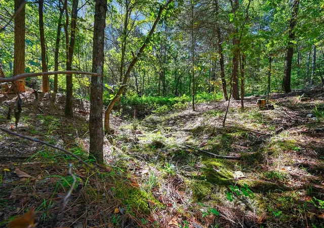 Photo 3 of Single family home for sale at 499 Hiddenwater Rd, Broken Bow, OK 74728 | MLS# 1193165 | Listing updated on 2026-09-21
