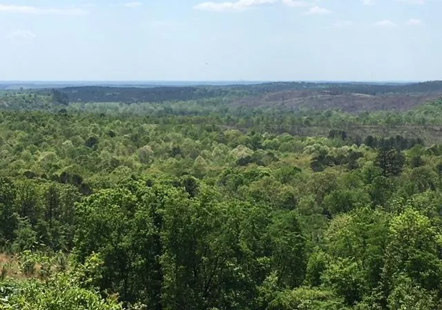 1st image of Frances Fir Rd, Broken Bow, OK 74728 | MLS# 1193251