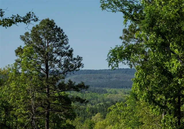 2nd image of Frances Fir Rd, Broken Bow, OK 74728 | MLS# 1193251