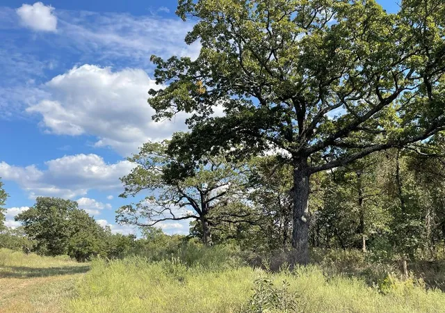 3rd image of 5402 Oak Hill Ranch Rd, Noble, OK 73068 | MLS# 1194532