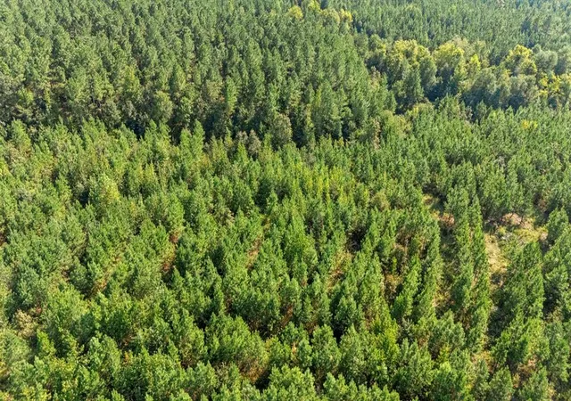 Photo 1 of Land for sale at 50 S Holland Trl, Broken Bow, OK 74728 | MLS# 1194582 | Listing updated on 2026-04-12