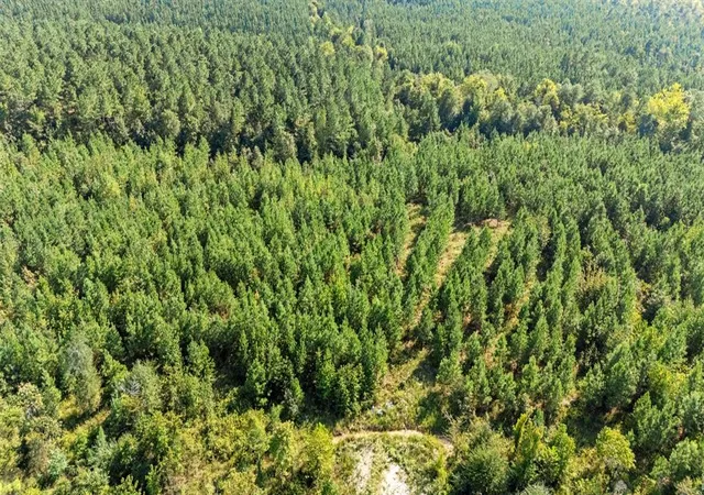 Photo 2 of Land for sale at 50 S Holland Trl, Broken Bow, OK 74728 | MLS# 1194582 | Listing updated on 2026-04-12