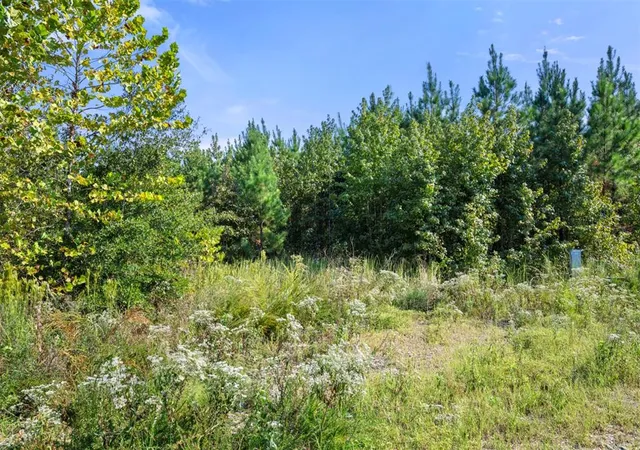Photo 3 of Land for sale at 50 S Holland Trl, Broken Bow, OK 74728 | MLS# 1194582 | Listing updated on 2026-04-12