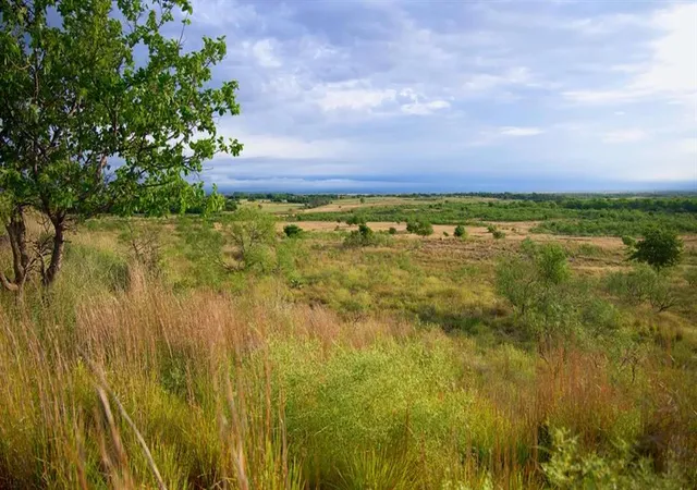 Photo 1 of Land for sale at 0 E 1440th Road, Mangum, OK 73554 | MLS# 1195071 | Listing updated on 2026-01-23