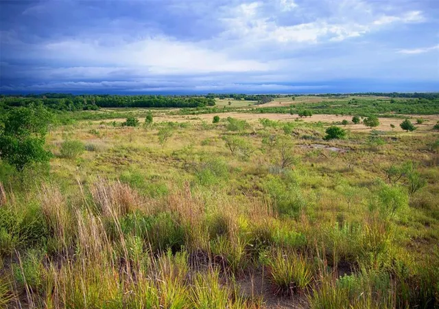Photo 2 of Land for sale at 0 E 1440th Road, Mangum, OK 73554 | MLS# 1195071 | Listing updated on 2026-01-23