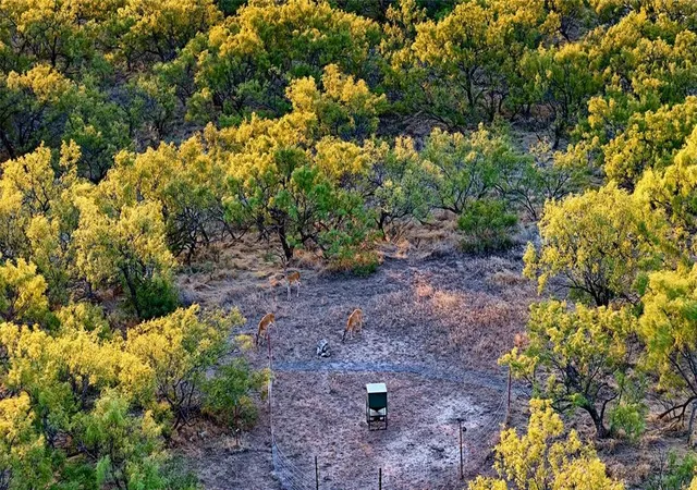 Photo 5 of Land for sale at 1 N 1865th Road, Mangum, OK 73554 | MLS# 1195094 | Listing updated on 2026-01-23