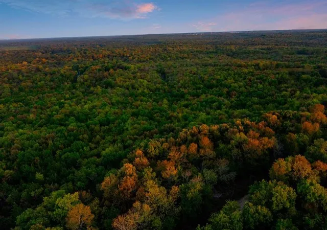 Photo 3 of Land for sale at River Bluff Rd, Idabel, OK 74745 | MLS# 1198229 | Listing updated on 2026-08-05
