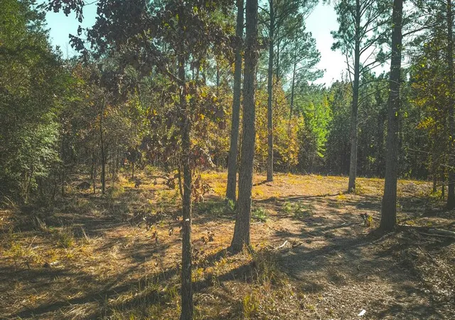 Photo 2 of Land for sale at 956 Cress Rd, Broken Bow, OK 74728 | MLS# 1199996 | Listing updated on 2026-03-24