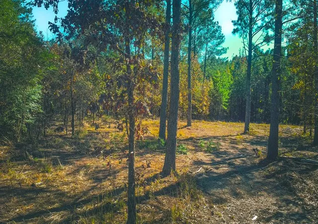 Photo 3 of Land for sale at 956 Cress Rd, Broken Bow, OK 74728 | MLS# 1199996 | Listing updated on 2026-03-24
