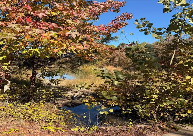 3rd image of 173 N Jones Ranch Rd, Broken Bow, OK 74728 | MLS# 1201806