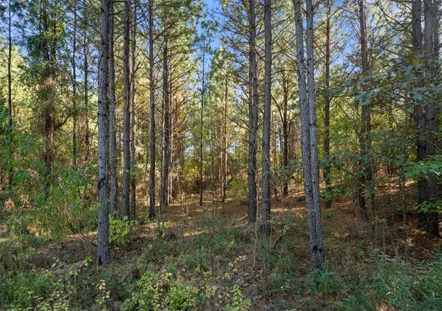 Homes for sale in Broken Bow, OK | 24 Cedar Tree Trl, Broken Bow, OK 74728 | MLS# 1202144