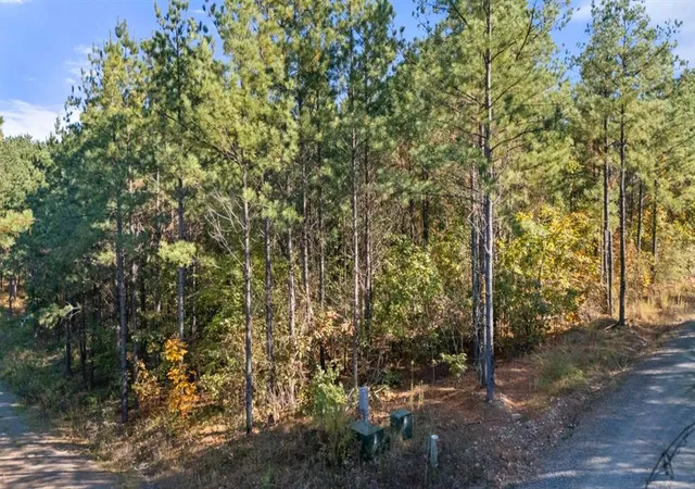 Homes for sale in Broken Bow, OK | 24 Cedar Tree Trl, Broken Bow, OK 74728 | MLS# 1202144