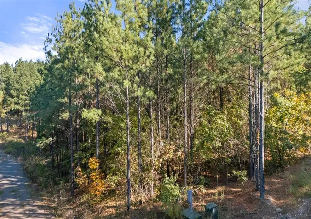 Homes for sale in Broken Bow, OK | 24 Cedar Tree Trl, Broken Bow, OK 74728 | MLS# 1202144