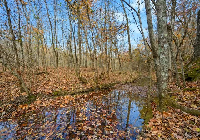 16th image of Woodland Bluff Trl, Broken Bow, OK 74728 | MLS# 1204908