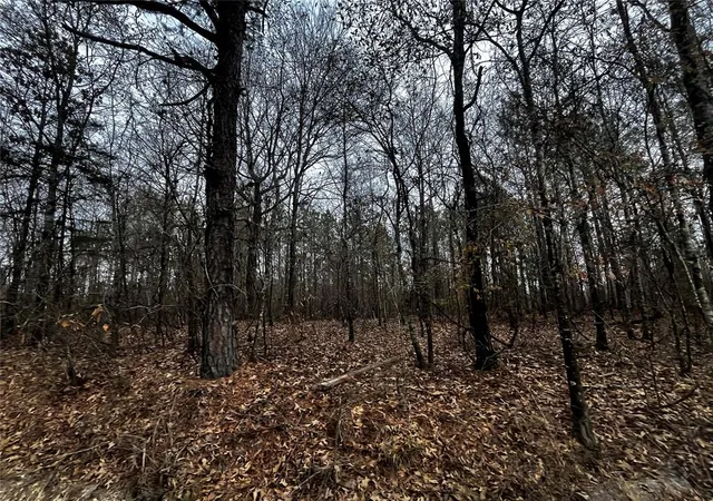 Photo 2 of Land for sale at 0 Tbd Silverside Rd, Watson, OK 74963 | MLS# 1206143 | Listing updated on 2025-12-18