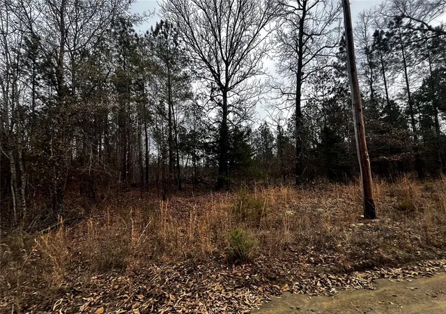 Photo 4 of Land for sale at 0 Tbd Silverside Rd, Watson, OK 74963 | MLS# 1206143 | Listing updated on 2025-12-18