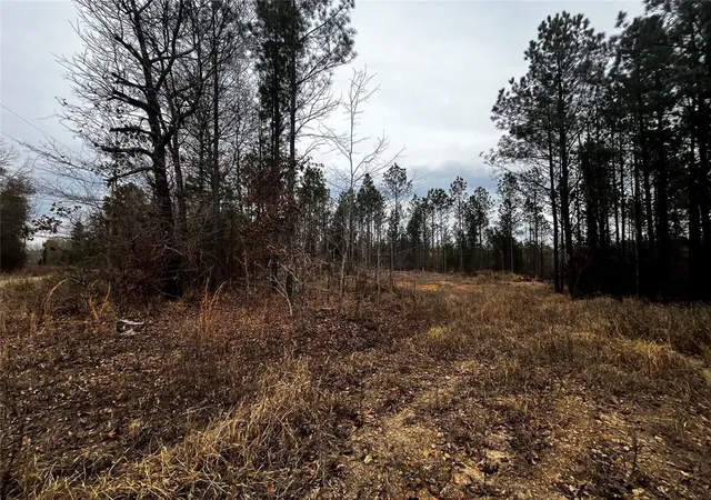 Photo 9 of Land for sale at 0 Tbd Silverside Rd, Watson, OK 74963 | MLS# 1206143 | Listing updated on 2025-12-18