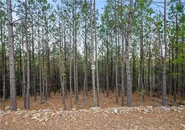 3rd image of 97 Monterey Oak Trl, Broken Bow, OK 74728 | MLS# 1207293
