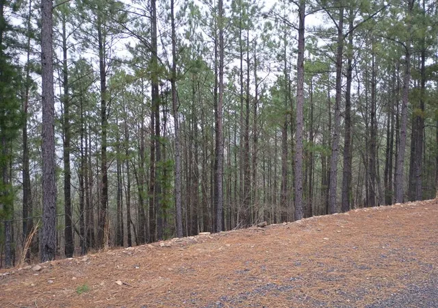1st image of 97 Monterey Oak Trl, Broken Bow, OK 74728 | MLS# 1207293