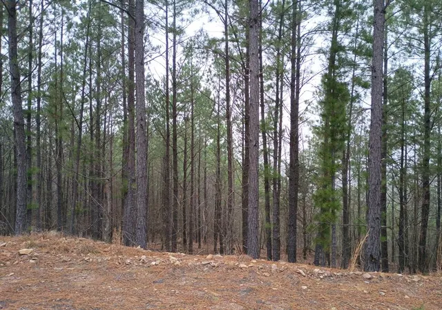 2nd image of 97 Monterey Oak Trl, Broken Bow, OK 74728 | MLS# 1207293