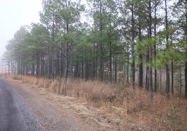 1st image of 460 Timberline Trl, Broken Bow, OK 74728 | MLS# 1208003