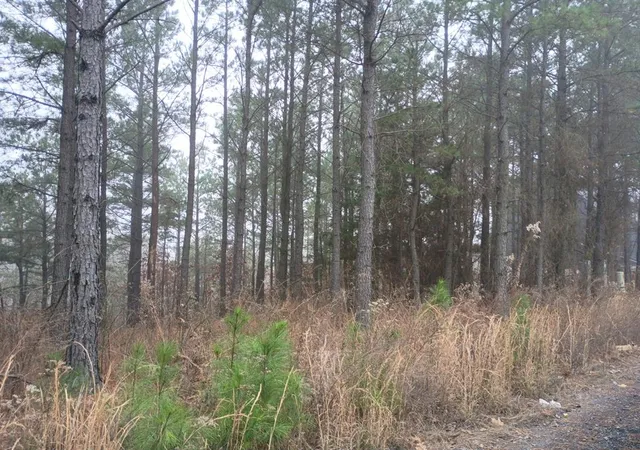 2nd image of 460 Timberline Trl, Broken Bow, OK 74728 | MLS# 1208003