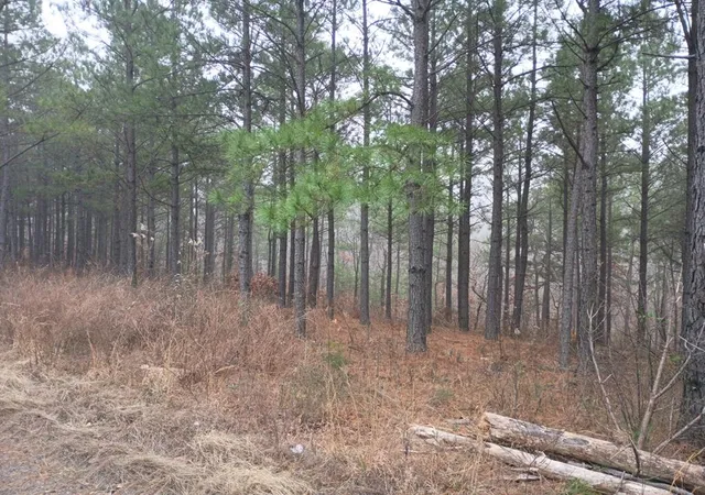 4th image of 460 Timberline Trl, Broken Bow, OK 74728 | MLS# 1208003