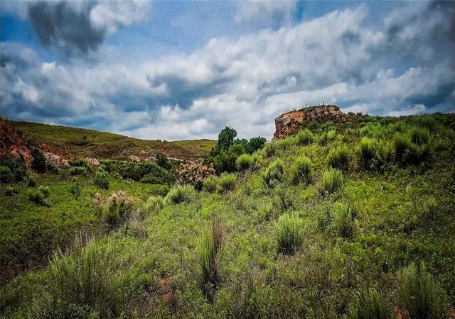 Photo 4 of Land for sale at 001 N 1920 Road, Buffalo, OK 73834 | MLS# 1209199 | Listing updated on 2026-07-07