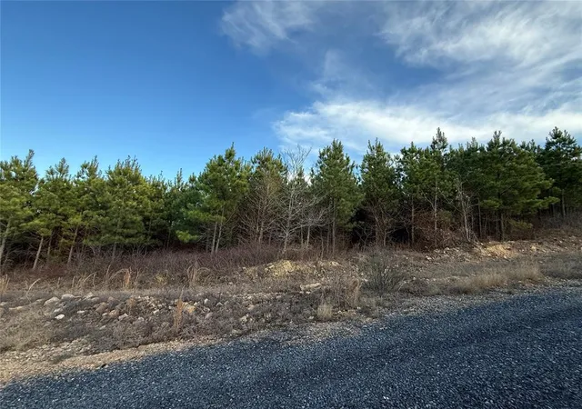 Photo 4 of Land for sale at 333 Overcup Oak Trl, Broken Bow, OK 74728 | MLS# 1209613 | Listing updated on 2026-05-13