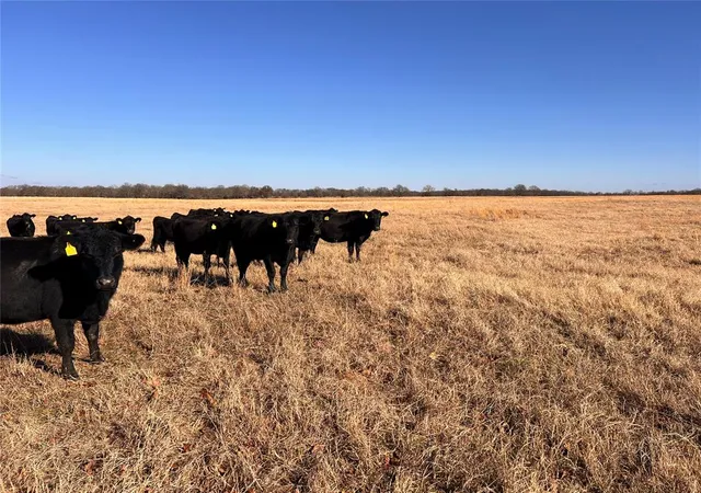1st image of 000 Ns 365 Rd, Okemah, OK 74859 | MLS# 1209627
