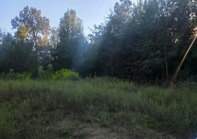 Photo 2 of Land for sale at 746 St Marks Lp, Idabel, OK 74745 | MLS# 1209738 | Listing updated on 2026-10-14