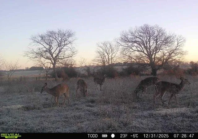 9th image of Tebo Jones Rd, Broken Bow, OK 74728 | MLS# 1210627