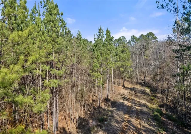 Photo 2 of Land for sale at 323 Marked Pine Ln, Broken Bow, OK 74728 | MLS# 1211670 | Listing updated on 2026-04-12