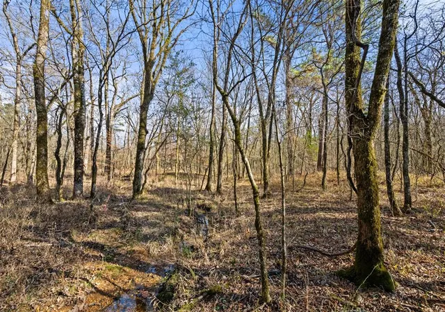 Photo 3 of Land for sale at 323 Marked Pine Ln, Broken Bow, OK 74728 | MLS# 1211670 | Listing updated on 2026-04-12