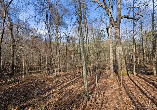 Photo 16 of Land for sale at 316 Marked Pine Ln, Broken Bow, OK 74728 | MLS# 1211675 | Listing updated on 2026-04-12