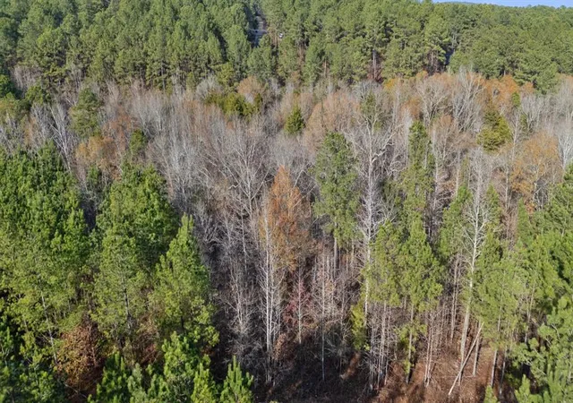 Photo 3 of Land for sale at 316 Marked Pine Ln, Broken Bow, OK 74728 | MLS# 1211675 | Listing updated on 2026-04-12